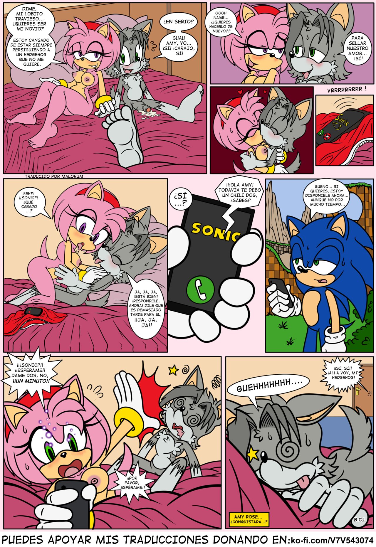 Naiars Misadventures 4 – Amy Rose The Hedgehog - Página 11