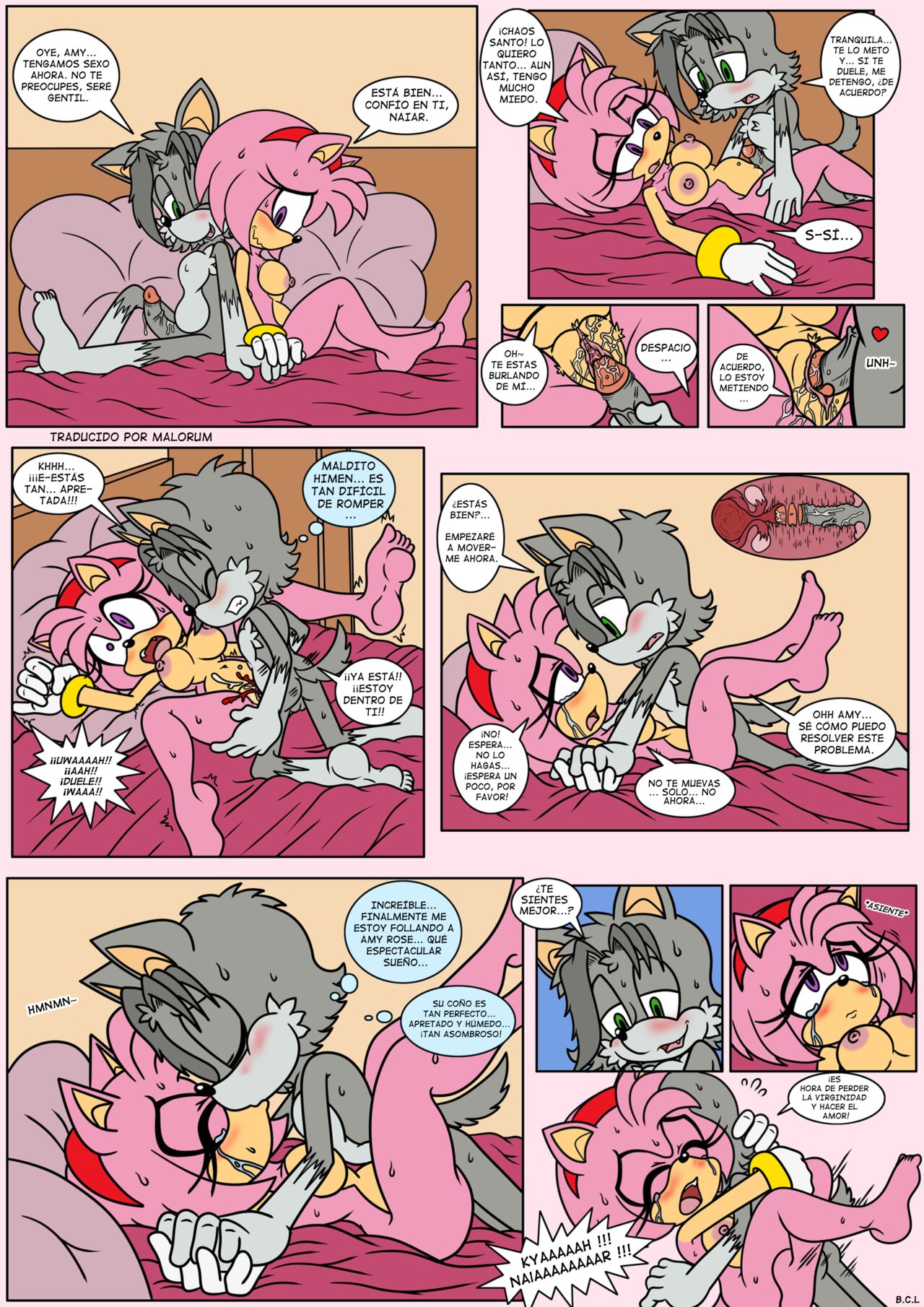 Naiars Misadventures 4 – Amy Rose The Hedgehog - Página 8