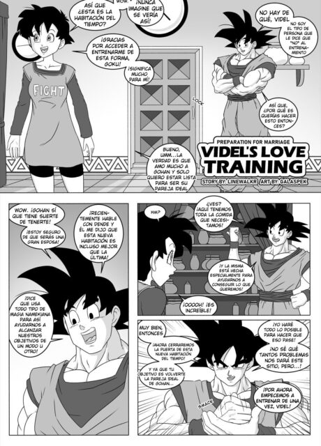 Videls Love Training – Galaspek