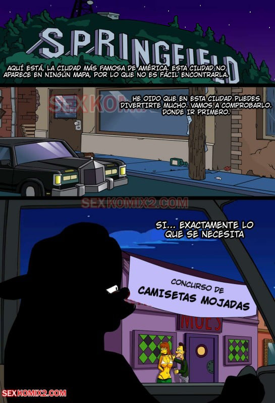 Adventures of Anastasia – Meet me Springfield – SexKomix - Página 2